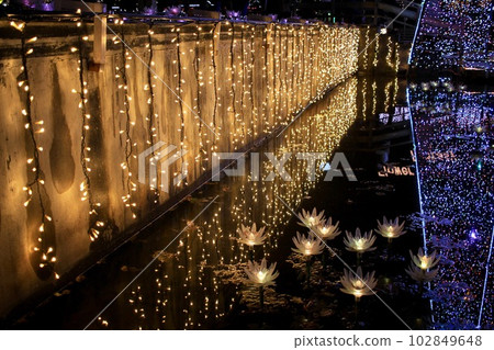 Gorgeous illumination Ashikaga Flower Park Gorgeous illumination Ashikaga Flower Park 102849648