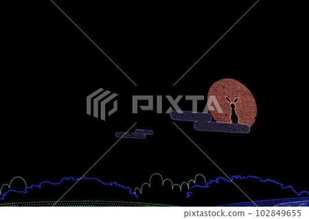 Ashikaga Flower Park Moon and Rabbit 102849655