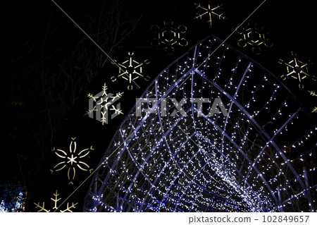 Illuminations Ashaka Flower Park Illuminations Ashaka Flower Park 102849657