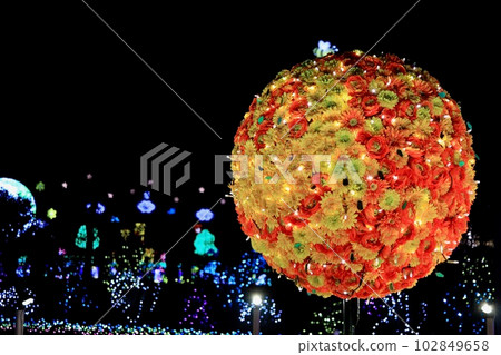 Beautiful illumination at Ashikaga Flower Park Beautiful illumination at Ashikaga Flower Park 102849658