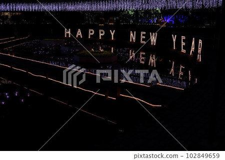 Ashikaga Flower Park Illumination Ashikaga Flower Park Illumination 102849659