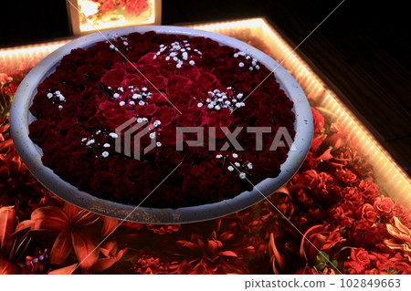 Ashikaga Flower Park Ashikaga Flower Park 102849663