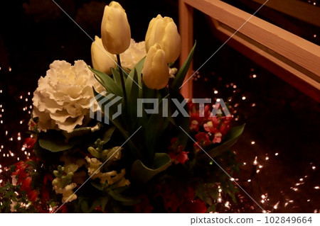 Beautiful flowers at Ashikaga Flower Park Beautiful flowers at Ashikaga Flower Park 102849664