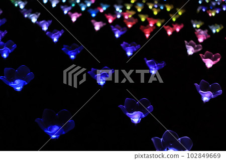 Colorful illumination Ashikaga Flower Park Colorful illumination Ashikaga Flower Park 102849669