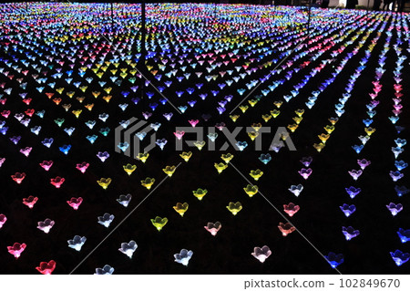 Illuminations spreading all over Ashikaga Flower Park Illuminations spreading all over Ashikaga Flower Park 102849670
