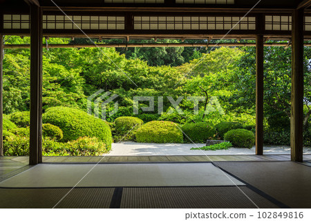 初夏的石森堂，定山寺景觀，清新的綠色花園，京都府京都市 102849816
