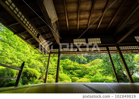 初夏的石森堂，定山寺景觀，清新的綠色花園，京都府京都市 102849819