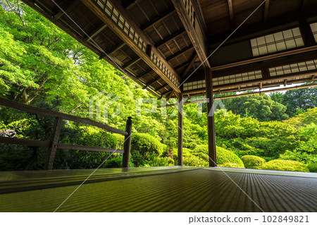 初夏的石森堂，定山寺景觀，清新的綠色花園，京都府京都市 102849821