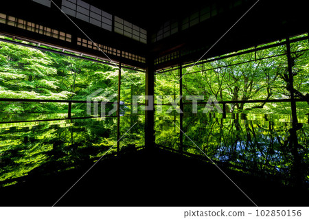 京都府京都市青楓和松陰的清新綠景中的琉璃光院 京都府京都市青楓和松陰的清新綠景中的琉璃光院 102850156