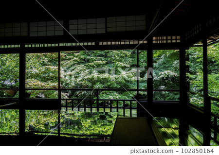 京都府京都市青楓和松陰的清新綠景中的琉璃光院 京都府京都市青楓和松陰的清新綠景中的琉璃光院 102850164