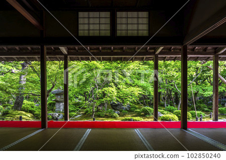 圓光寺的綠意,從書房看到的庭園景色,京都府京都市 圓光寺的綠意,從書房看到的庭園景色,京都府京都市 102850240