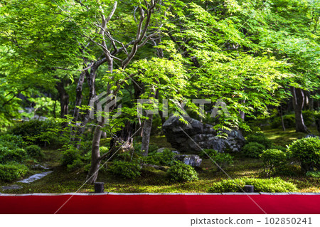 The greenery of Enkoji Temple, the view of the garden seen from the study room, Kyoto City, Kyoto Prefecture 102850241