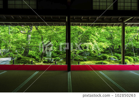 The greenery of Enkoji Temple, the view of the garden seen from the study room, Kyoto City, Kyoto Prefecture The greenery of Enkoji Temple, the view of the garden seen from the study room, Kyoto City, Kyoto Prefecture 102850263