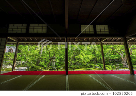 The greenery of Enkoji Temple, the view of the garden seen from the study room, Kyoto City, Kyoto Prefecture 102850265