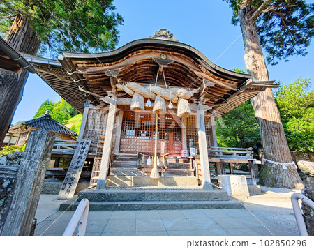 Soga Shrine Soga Shrine 102850296