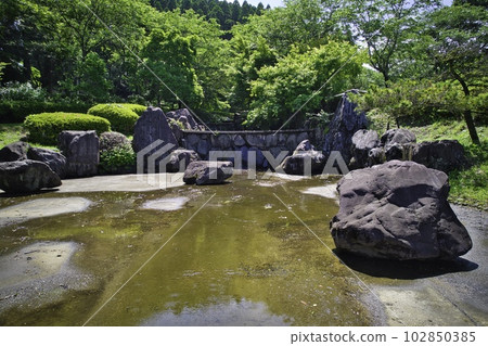 都城紫陽花公園 2015 年 5 月 102850385