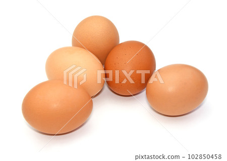Hinai chicken eggs from Akita Prefecture Hinai chicken eggs from Akita Prefecture 102850458