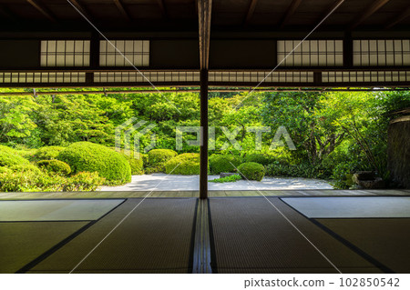 初夏的四仙堂定山寺，京都府京都市的清新綠色庭園 102850542