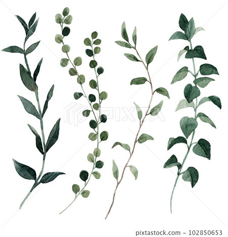 Beautiful clip art stock illustration set with hand drawn watercolor branch with leaves. 102850653