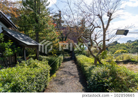 京都舞鶴種寺(Taneji Temple) 京都舞鶴種寺(Taneji Temple) 102850665
