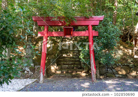 京都舞鶴種寺（Taneji Temple） 102850690