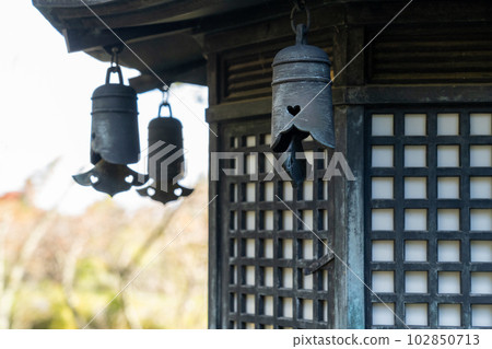 京都舞鶴種寺(Taneji Temple) 京都舞鶴種寺(Taneji Temple) 102850713