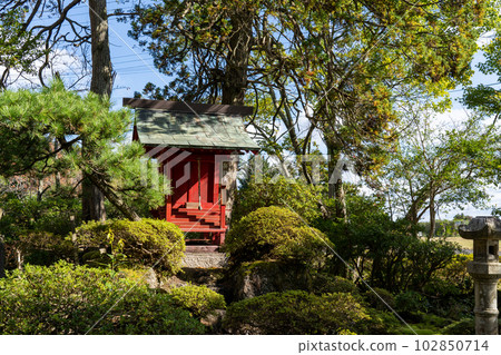 Kyoto Maizuru Taneji Temple (Taneji Temple) 102850714