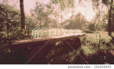 Gray wooden bench in a park Gray wooden bench in a park 102850935
