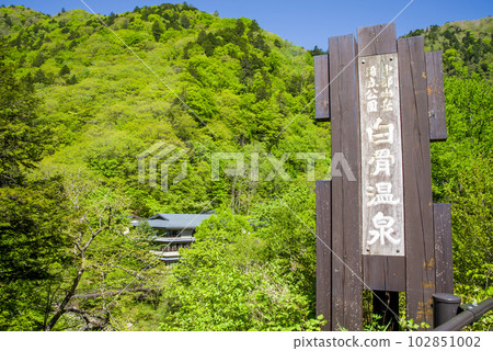 A hot spring resort in the fresh green season [Shinshu Shirahone Onsen] 102851002