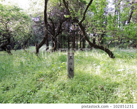 Minowa城堡跟踪Minomaru 102851231