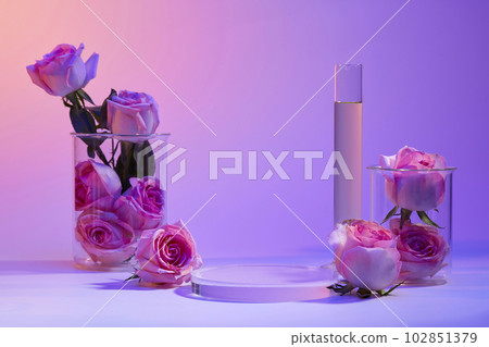 Several Roses filled inside two beakers, a test tube of liquid and round transparent podium. Rose (Rosa) essential oil can help protect sensitive skin cells 102851379
