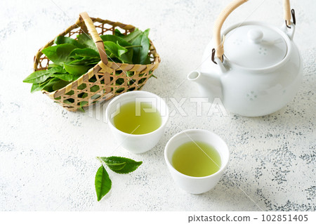 用茶壺沖泡的綠茶 102851405
