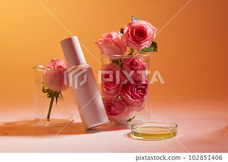 Roses are put inside two transparent beakers, a glass petri dish of yellow fluid with white bottle displayed. Skincare concept with empty label 102851406