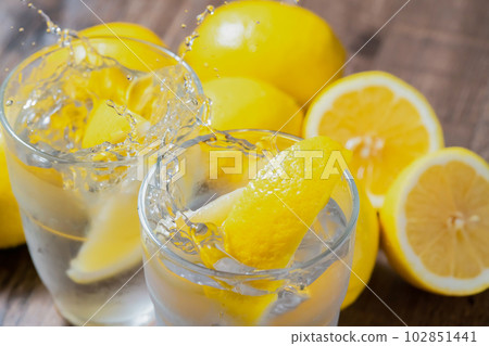 Lemon Sawa 102851441