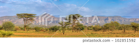 Savanna in the Awash National Park, Ethiopia Savanna in the Awash National Park, Ethiopia 102851592