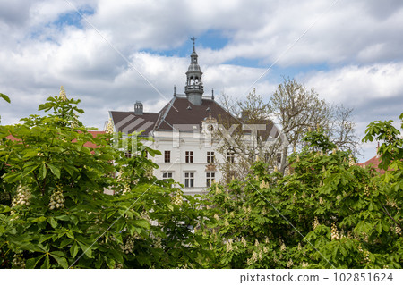 Town hall in Valtice, South Moravia, Czech Republic Town hall in Valtice, South Moravia, Czech Republic 102851624