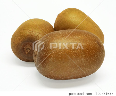 Kiwi fruit Kiwi fruit 102851637