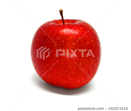 Apple Apple 102851638