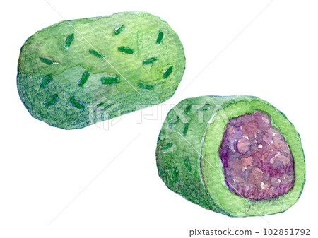 竹餃子水彩畫手繪插畫水彩插畫 102851792