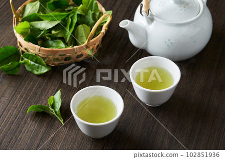 用茶壺沖泡的綠茶和新鮮採摘的茶葉 102851936