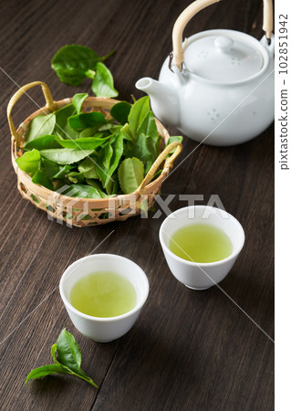 Green tea brewed in a teapot and freshly picked tea leaves Green tea brewed in a teapot and freshly picked tea leaves 102851942