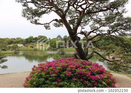 Okayama Korakuen 102852230