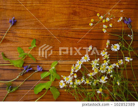 草藥框架、洋甘菊和薄荷和薰衣草背景 102852389