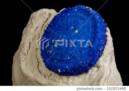 Macro mineral stone Azurite in siltstone against black background 102852490