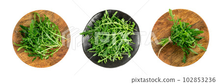 Arugula, Arugula, Ruccola Leaves, Rucola, Eruca or Roquette Salad 102853236