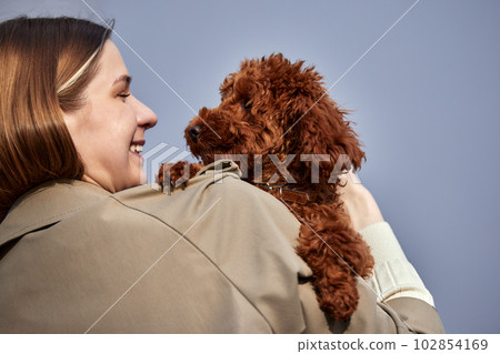 Toy poodle outlet blonde