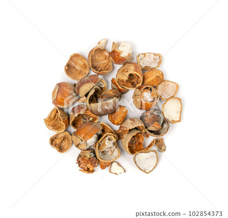 Spoiled Nuts, Mold on Nut Shells, Low Quality Toxic Products, Improper Storage, Spoiled Hazelnuts Isolated Spoiled Nuts, Mold on Nut Shells, Low Quality Toxic Products, Improper Storage, Spoiled Hazelnuts Isolated 102854373