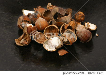 Spoiled Nuts, Mold on Nut Shells, Low Quality Toxic Products, Improper Storage, Spoiled Hazelnuts Isolated 102854375