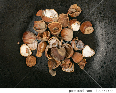 Spoiled Nuts, Mold on Nut Shells, Low Quality Toxic Products, Improper Storage, Spoiled Hazelnuts Isolated Spoiled Nuts, Mold on Nut Shells, Low Quality Toxic Products, Improper Storage, Spoiled Hazelnuts Isolated 102854378