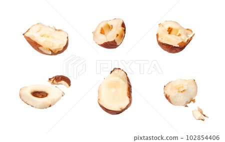 Nut Kernels Crumbs, Broken Hazelnuts Pile Isolated, Healthy Organic Crush Nuts Group, Hazel Nut Pieces Nut Kernels Crumbs, Broken Hazelnuts Pile Isolated, Healthy Organic Crush Nuts Group, Hazel Nut Pieces 102854406